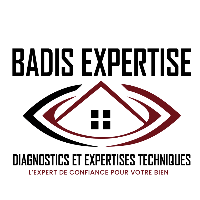 BADIS EXPERTISE