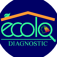 diagnostic immobilier 