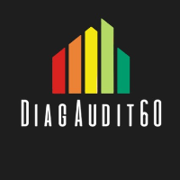 DIAG AUDIT 60