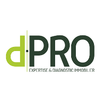 D.Pro Paris SUD