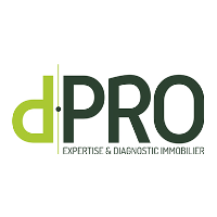 D.PRO Tours