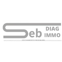 Seb diag immo