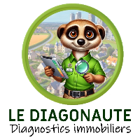 LE DIAGONAUTE