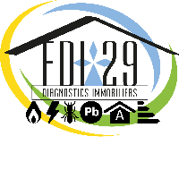 FDI 29